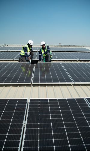 Placas Solares en Alicante